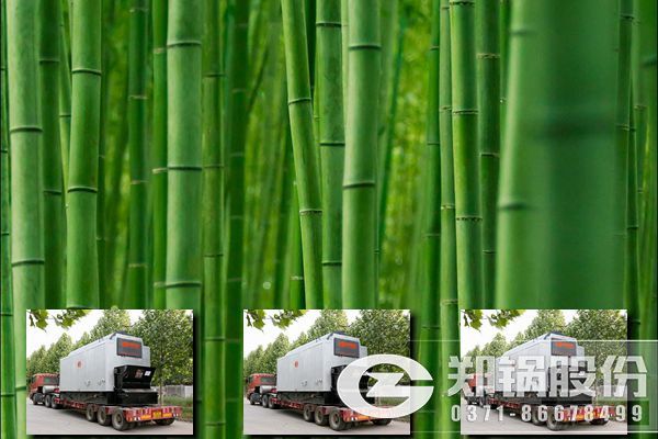 福建南平市燃料是竹屑、木屑的10吨和20吨生物质蒸汽锅炉价格.jpg
