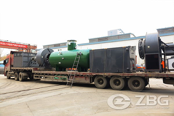 25 Tons Chain Grate Boiler Shipped to Australia 5.jpg